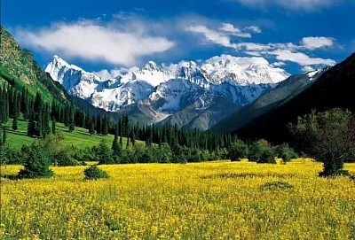 Silk Way Tourism Consult Agency, Dedicated in Tourism In Xinjiang & World